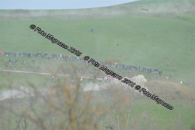 DSC_6812.JPG